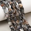 Natural Moonstone Beads Strands G-A284-A01-01-1