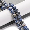 Natural Blue Spot Jasper Beads Strands G-K380-A02-01-2