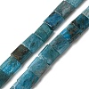 Natural Apatite Beads Strands G-F762-A19-01-1