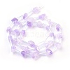 Natural Amethyst Beads Strands G-I250-03A-2