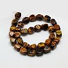 Natural Tiger Eye Faceted Rhombus Beads Strands G-L235B-03-2