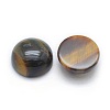 Natural Tiger Eye Cabochons X-G-P393-R12-10mm-2