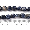 Natural Sodalite Beads Strands G-G146-A03-02-5