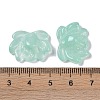 Baking Paint Glass Beads GLAA-S202-13G-3