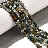 Natural Moss Agate Beads Strands G-Z068-B08-02-2