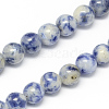 Natural Blue Spot Jasper Bead Strands X-G-R193-15-6mm-2