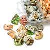 125G 5 Colors Natural Shell Bead Strands BSHE-FS0001-06B-2