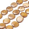 Natural Freshwater Shell Beads X-BSHE-I011-01A-01-1