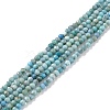 Natural Blue Opal Beads Strands LS-G-K315-B05-A-1