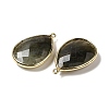 Faceted Natural Labradorite Pendants X-G-M356-B02-LG-4
