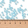 Glass Seed Beads SEED-H002-H-1303-4