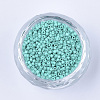 Baking Paint Cylinder Seed Beads SEED-Q036-02A-D05-2