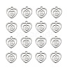 304 Stainless Steel Charms STAS-Q201-T174-1