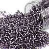 TOHO Round Seed Beads SEED-XTR11-0039F-1