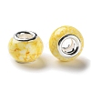 Brass Cores Acrylic European Beads OACR-M024-06S-04-2