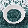 MIYUKI Delica Beads SEED-JP0008-DB1769-2