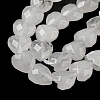 Natural Quartz Crystal Beads Strands G-P544-E14-01-4