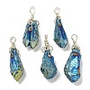 Electroplated Platinum Palted Copper Wire Wrapped Natural Quartz Crystal Pendants G-L133-07I-1