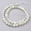 Natural White Moonstone Beads Strands G-J376-67F-8mm-2