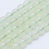 Natural Prehnite Beads Strands G-L478-37-4mm-1