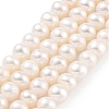 Natural Cultured Freshwater Pearl Beads Strands PEAR-C003-12I-1