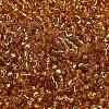 TOHO 6/0 Round Beads SEED-XTR06-0022B-3