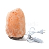 Natural Himalayan Rock Salt Lamp DJEW-P002-01B-2