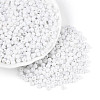 6/0 Half Plated Glass Beads SEED-N008-04H-2