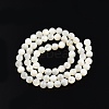 Natural White Shell Bead Strands SSHEL-N003-144E-01-2