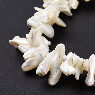 Natural Trochid Shell Beads Strands X-SSHEL-G023-05B-1