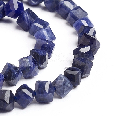 Natural Sodalite Beads Strands G-E560-B02-1