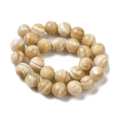 Natural Trochus Shell Beads Strands SHEL-K006-18B-1