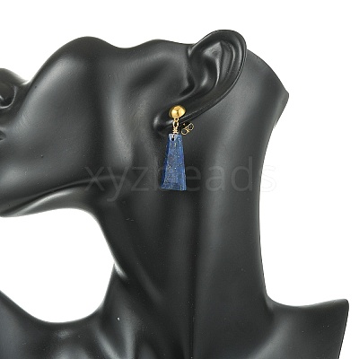 Dyed Natural Lapis Lazuli & Natural Amazonite & Natural Tiger Eye Dangle Stud Earrings EJEW-JE07032-1