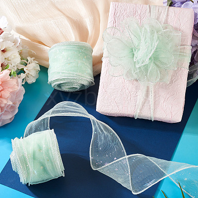 Polyester Deco Mesh Ribbons OCOR-TAC0024-004G-1