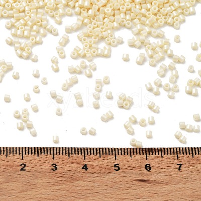 Baking Paint Glass Seed Beads X-SEED-S042-15B-25-1