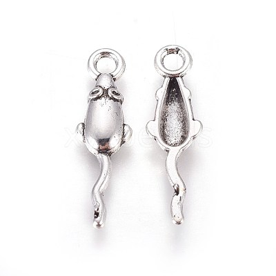 Tibetan Style Zinc Alloy Pendants PALLOY-F248-013AS-1