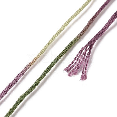 10 Skeins 6-Ply Polyester Embroidery Floss OCOR-K006-A78-1