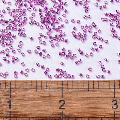 MIYUKI Delica Beads X-SEED-J020-DB0425-1
