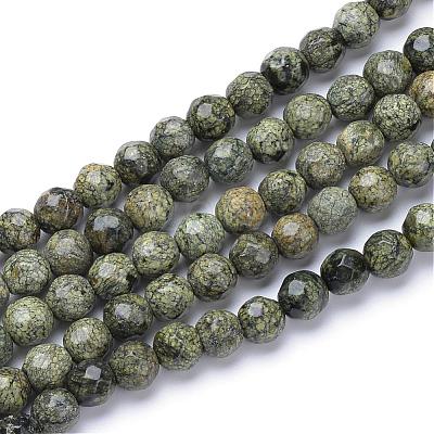 Natural Serpentine/Green Lace Stone Bead Strands G-R411-11-6mm-1