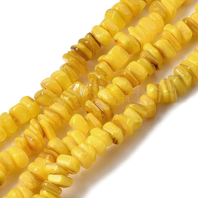 Natural Freshwater Shell Beads SHEL-B003-01-1