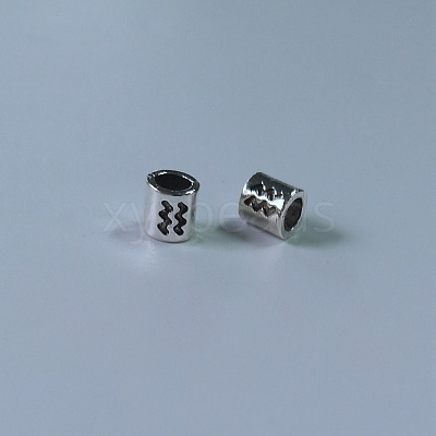 Tibetan Style Alloy European Beads FIND-WH0111-50F-1