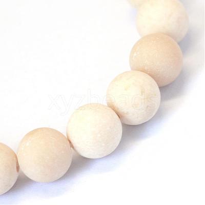 Frosted Natural Fossil Round Bead Strands G-E334-6mm-22-1