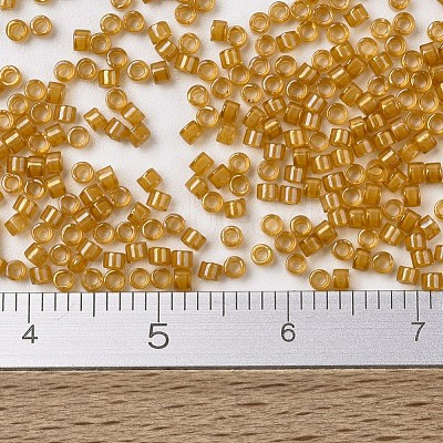 MIYUKI Delica Beads X-SEED-J020-DB0272-1