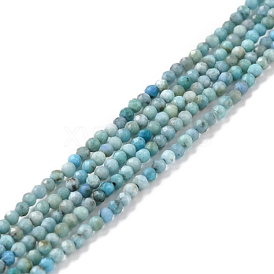 Natural Blue Opal Beads Strands LS-G-K315-B05-A-1