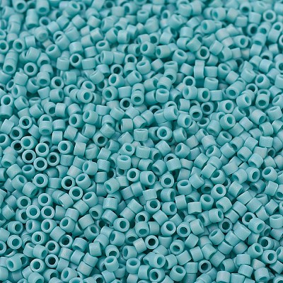 MIYUKI Delica Beads Small X-SEED-J020-DBS0878-1