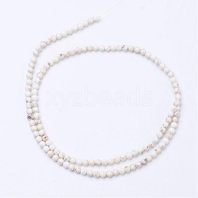 Natural Magnesite Bead Strands G-P286-10-3mm-1
