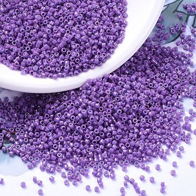 MIYUKI Delica Beads X-SEED-J020-DB0660-1