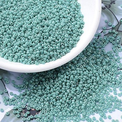 MIYUKI Round Rocailles Beads X-SEED-G007-RR0481-1
