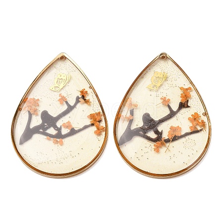 Brass & Transparent Epoxy Resin & Dried Flower Pendants RESI-G133-03G-04-1