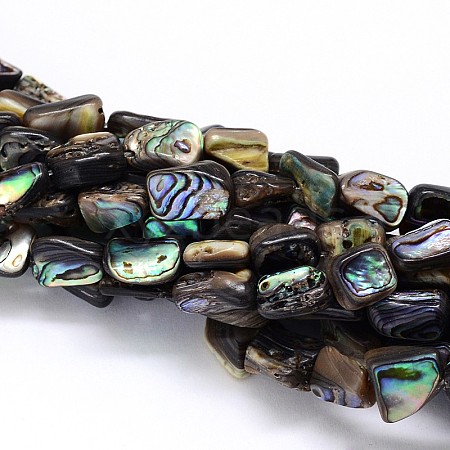 Natural Paua Shell Beads Strands SSHEL-J047-03-1